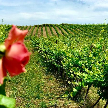 Borgo Del Gelso Bed & Breakfast Olgiata Bagian luar foto