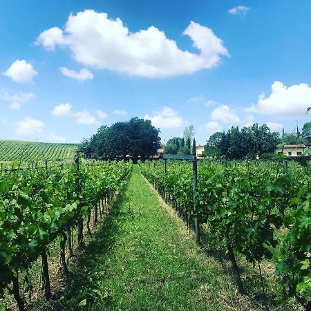 Borgo Del Gelso Bed & Breakfast Olgiata Bagian luar foto