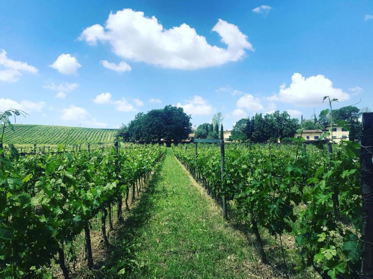 Borgo Del Gelso Bed & Breakfast Olgiata Bagian luar foto
