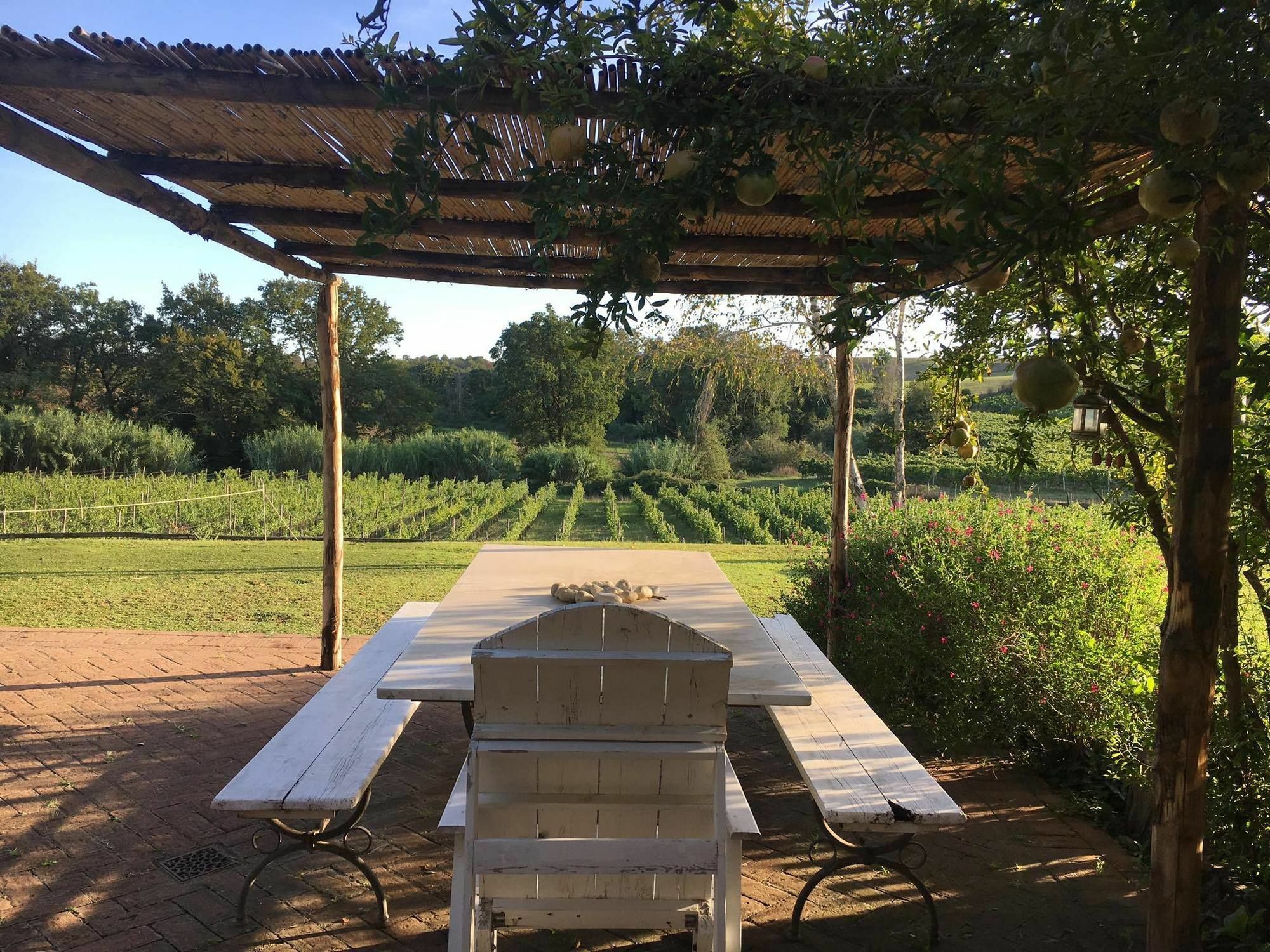 Borgo Del Gelso Bed & Breakfast Olgiata Bagian luar foto