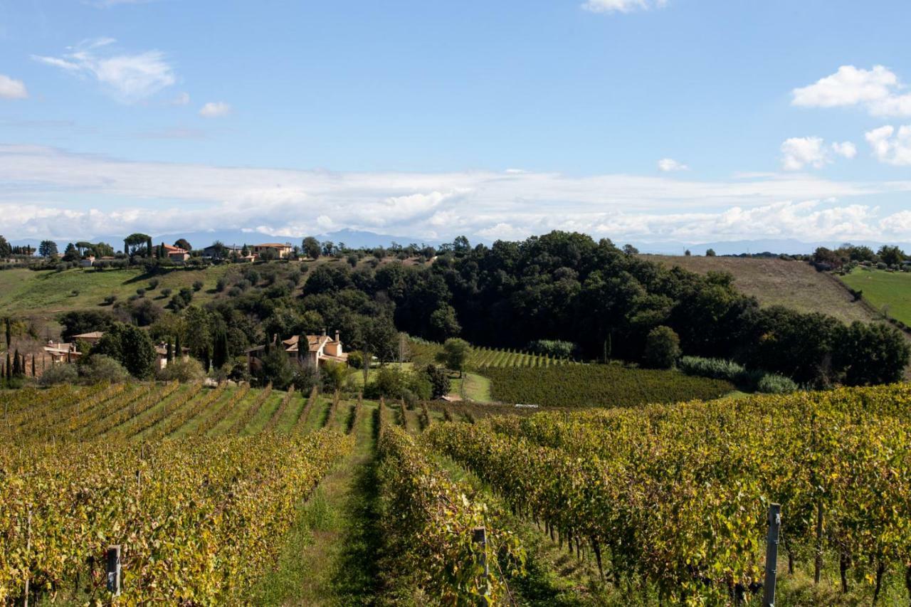 Borgo Del Gelso Bed & Breakfast Olgiata Bagian luar foto