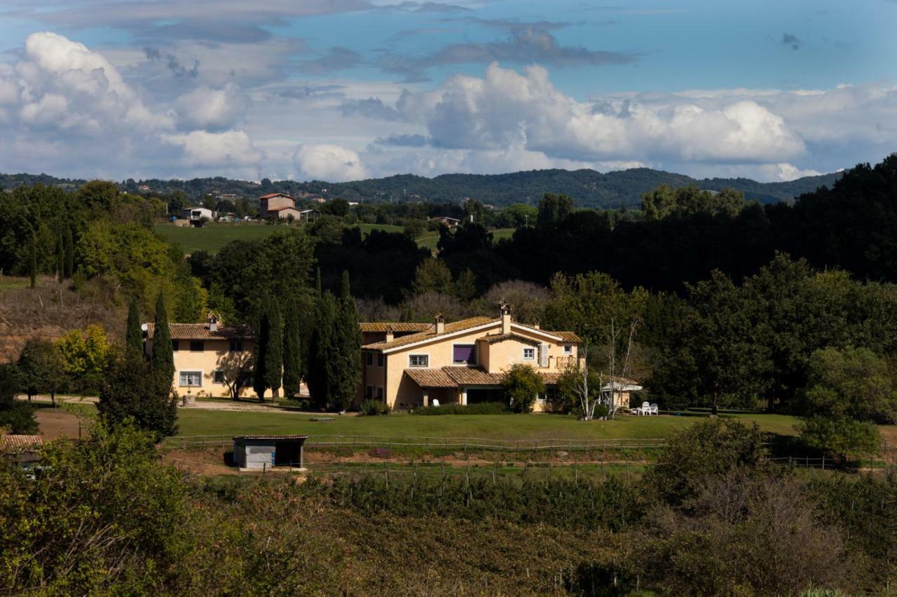 Borgo Del Gelso Bed & Breakfast Olgiata Bagian luar foto