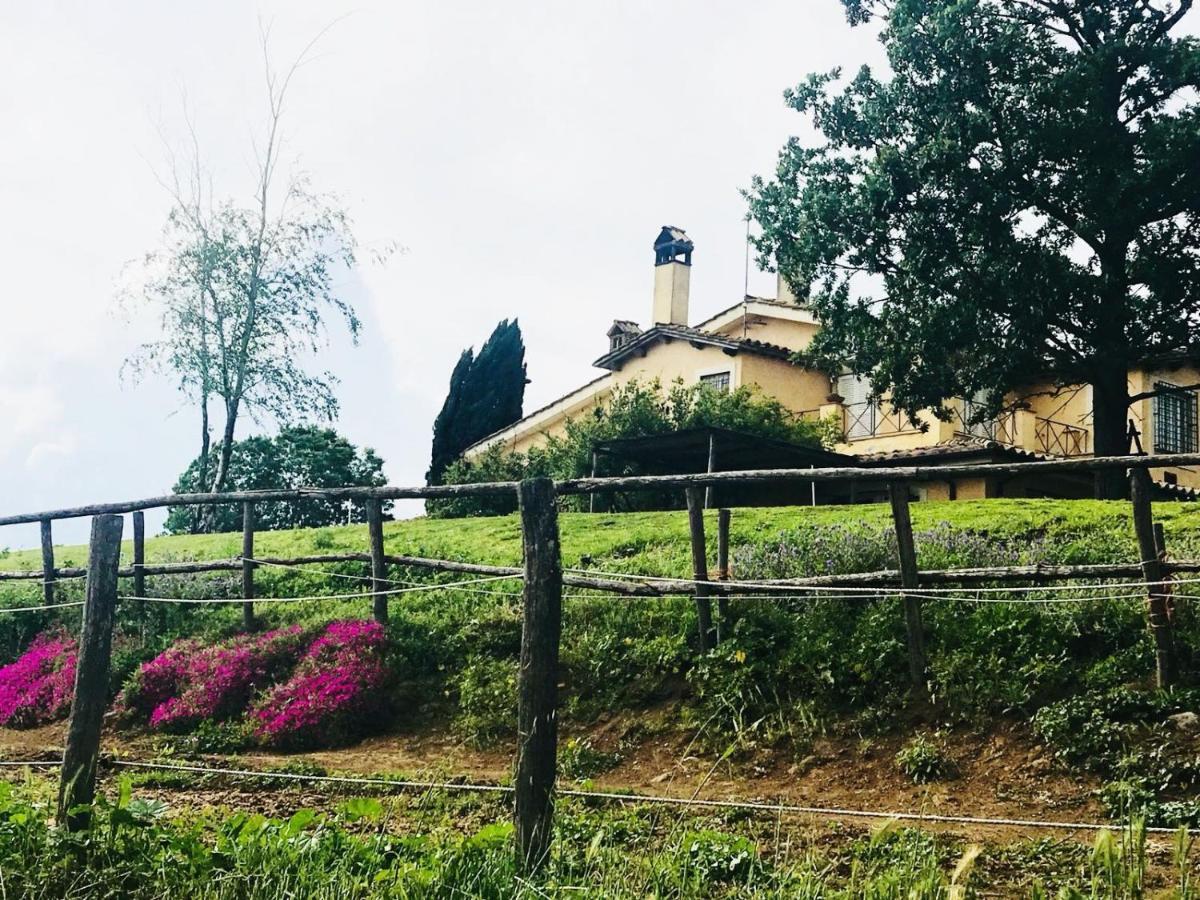 Borgo Del Gelso Bed & Breakfast Olgiata Bagian luar foto